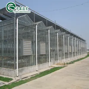 Venlo-invernadero de tubos de acero galvanizado con torre de jardín