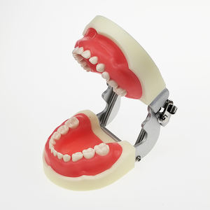 نموذج عرض لتثبيت أسنان واستعادة جسر سريع يتماشى مع الكل في 4 - Product Image 5