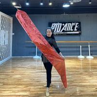 Ruban de drapeau professionnel pour la scène, bannière de performance, ruban de soie arc-en-ciel, drapeaux pour la prière avec tige flexible, ailes de danse artistique