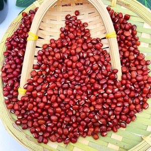Venta al por Mayor de Frijoles <span class=keywords><strong>Adzuki</strong></span> Grandes, Frijoles Rojos Pequeños, Frijoles de Bambú - Product Image 6