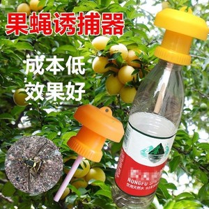Piège à mouches des fruits avec tubes de leurre, portable, pour le contrôle des insectes dans les bouteilles, usage domestique - Product Image 2