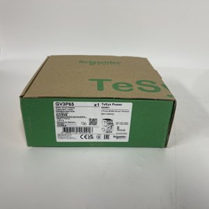 Interruptor de Circuito de Motor Schneider GV3P65 - Product Image 1