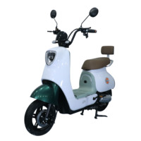 High-Speed 48V 12AH Battery Rear Hub Motor Smart Electronic Bike With Pedals