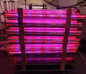 Longood 150W 120W 100W 50W Inter Light 2 lados 100V 240V 347V 4 pies 8 pies <span class=keywords><strong>bajo</strong></span> dosel luces <span class=keywords><strong>de</strong></span> cultivo Led para plantas <span class=keywords><strong>de</strong></span> interior - Product Image 2