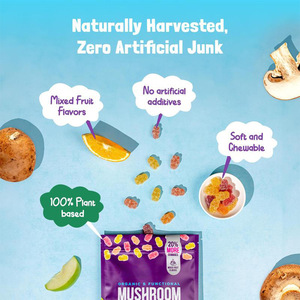 Potentes Gomitas de Hongos Complejos con <span class=keywords><strong>Ashwagandha</strong></span> y Melena de León para Hombres y Mujeres, Estimulante Cerebral, Refuerzo Inmunológico y Energía - Product Image 3