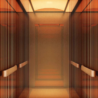 Small Shaft MRL Passenger Elevator 4-6 Persons for Compact Urban Space Saving Requirements