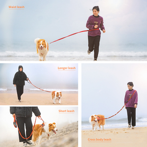 Truelove, venta al por mayor, correa ajustable de nailon para perro, cuerda elástica de liberación rápida, acolchada, reflectante, duradera, manos libres, cuerda de plomo para mascotas de lujo - Product Image 6