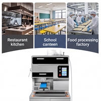 Máquina Comercial Automática para Hacer Fideos Frescos, Máquina Inteligente para la Producción de Fideos