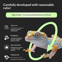 Hagedis Reptiel Gekko Fruitpoeder Probiotica Voedzame Puree voor Blauwtong & Leeuwenmanen Draken Drop Shipping