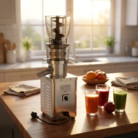 Commerciële slowjuicer, koudgeperste fruit- en groentesapcentrifuge, sapseparatiemachine voor groothandel