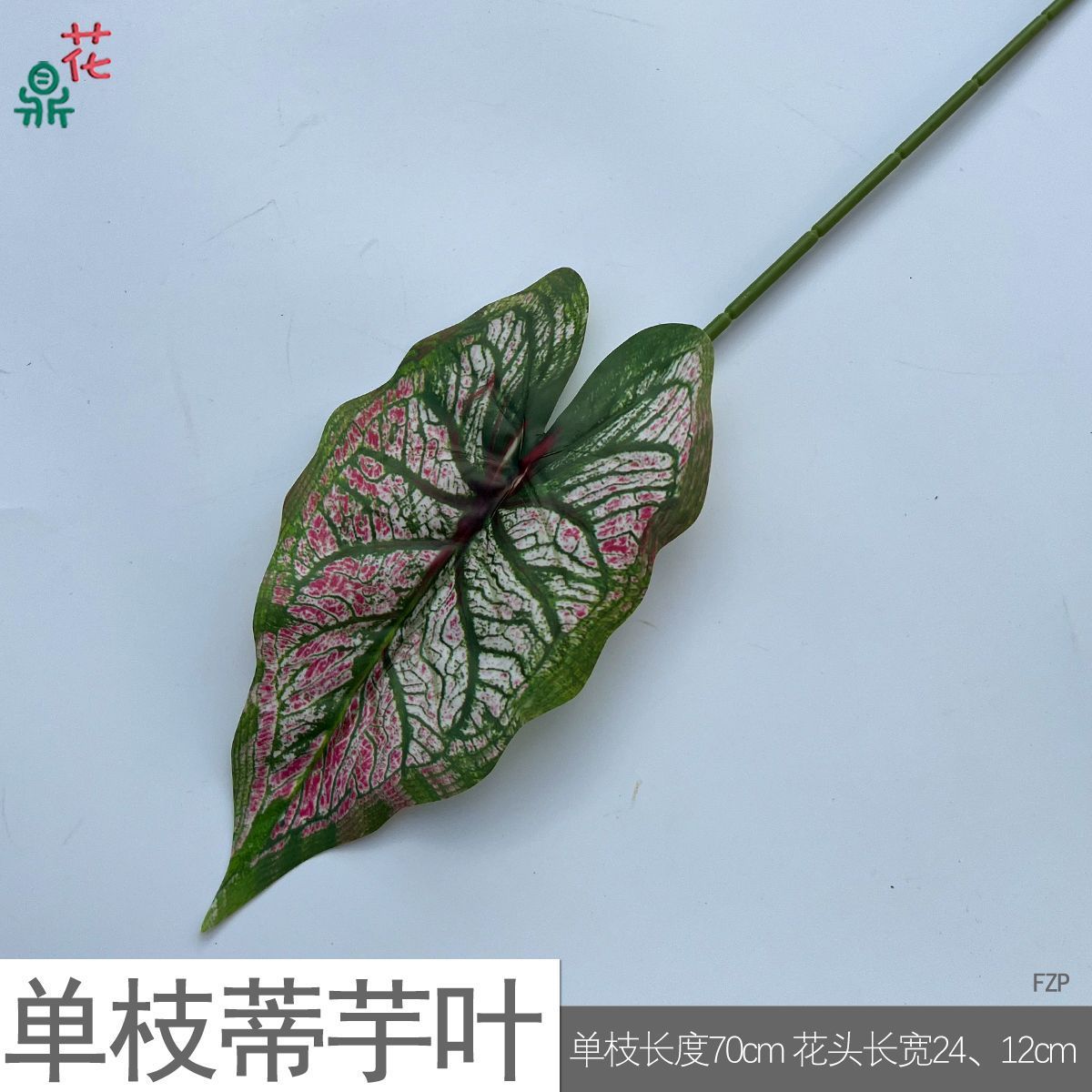 Feuilles de taro à tige unique FZP rose rose avec bords verts