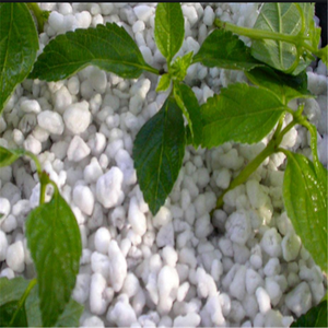 <span class=keywords><strong>Perlita</strong></span> Expandida de Grado Hortícola de 3-6 mm para el Crecimiento de Plantas, Aireación y Drenaje del Suelo - Product Image 4