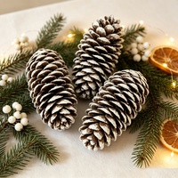 UMIND Cônes de pin naturels à pointes blanches givrées, 6-8 pièces, 200g, sac en filet, décorations de Noël rustiques, écologiques