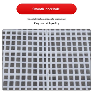 Vente Flash : Plancher à lattes en PP blanc pur pour poulets de chair et élevages - Product Image 2