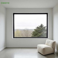 Ventana Fija de Aluminio con Marco Delgado y Visión Amplia para Apartamentos Modernos