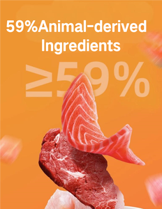 סיטונאי מזון כלב יבש בתפזורת מזון אורגני 25% טבעי מזון כלבים לכלות משפחה רב-כלב - Product Image 3