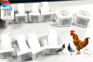 <span class=keywords><strong>Rfid</strong></span> Duif Been <span class=keywords><strong>Ring</strong></span> Qr Code Afdrukken 13.56Mhz Nfc <span class=keywords><strong>Rfid</strong></span> Vogel Voetring Gevogelte Plastic <span class=keywords><strong>Tag</strong></span> Duif Racing <span class=keywords><strong>Ring</strong></span> - Product Image 5