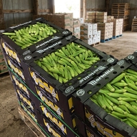 Boîte en plastique ondulé PP écologique, recyclable et réutilisable pour l'emballage de légumes, fruits, noix, collations, maïs, raisins, asperges