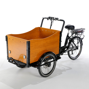 Tricycle <span class=keywords><strong>cargo</strong></span> à chargement frontal <span class=keywords><strong>2022</strong></span>, fabricant de tricycles électriques Holland, <span class=keywords><strong>vélo</strong></span> <span class=keywords><strong>cargo</strong></span> familial - Product Image 2