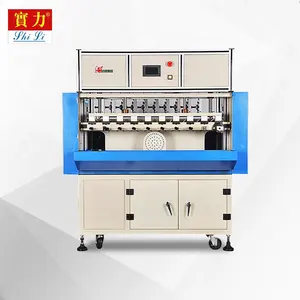 10 spindle PLC winding machine for Magneto Stator of Motorcycle