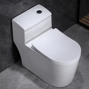 Düşük tankı çift gömme uzun Modern beyaz banyo seramik tek parça tuvalet kase Wc yıkanmak