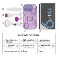 Kit de rouleau de derma glacé 6 en 1/6 en 1/6in 1/6 in 1 avec fonction de massage électrique