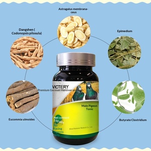 Productos Especiales para el Cuidado <span class=keywords><strong>de</strong></span> la Salud <span class=keywords><strong>de</strong></span> <span class=keywords><strong>Palomas</strong></span> <span class=keywords><strong>de</strong></span> Competición Hannover Xiong Ge Bao Pigeon Industry Zhuang Jifa Breeding Potential - Product Image 2