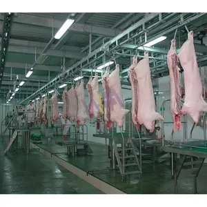 Solusi lengkap Swine rumah pemotongan hewan piaraan peralatan transportasi & penyimpanan pemisah daging babi mesin rel tegak