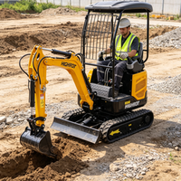 Mini-excavatrice sur chenilles HT18C pour la construction et l'agriculture, moteur à essence avec double certification EPA et Euro V, garantie 1 an