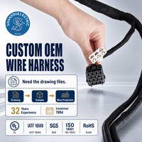 Kabel Harness Motor Tugas Berat Rakitan Kabel Khusus untuk Penggunaan Sepeda Motor dan Mobil, Isolasi Nilon, Berperingkat IP65, Pemasok OEM/ODM
