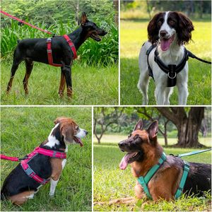 Arnés Táctico Personalizado al por Mayor para Perros, Collar Ajustable con Hebillas Metálicas Dobles para Entrenamiento de Perros Grandes - Product Image 4