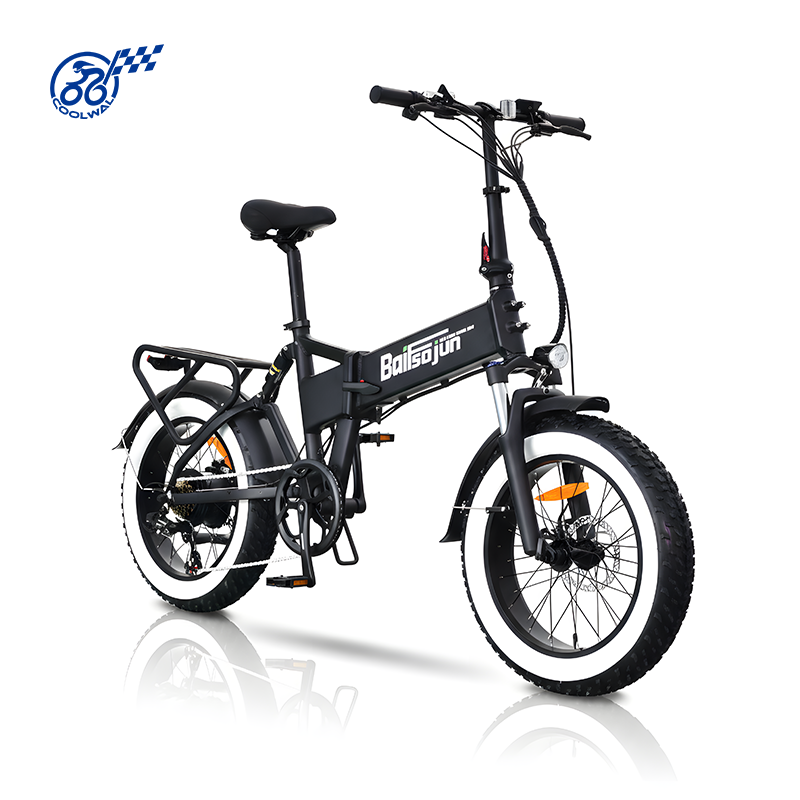 Best Sellers Price Electric Bicycle 500w