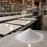 Défloculant et Dispersant en Poudre de Tripolyphosphate de Sodium (STPP) de Qualité Céramique pour la Production de Carreaux et Matériaux de Construction