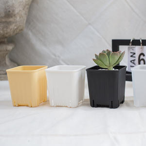 थोक पर्यावरण के अनुकूल मिनी वर्ग प्लास्टिक फूल बर्तन घर के लिए इनडोर/आउटडोर नर्सरी पॉट प्लांटर्स - Product Image 6