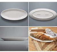 Offre Spéciale – Assiette Ovale Créative Rayée Blanche Écologique en Porcelaine pour la Maison, l'Hôtel, le Restaurant et les Mariages