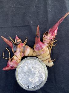 Almidón de Arrowroot de la Mejor Calidad, Harina Blanca en Polvo, Tipo Nativo de Vietnam - Product Image 4