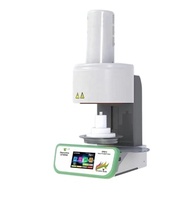 Modelo popular compatible con todos los bloques de porcelana de fundición Horno de prensa de porcelana dental
