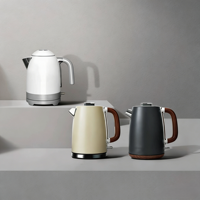 Bouilloires électriques portables pour l'eau et le thé, chauffe-eau, protection contre la surchauffe, verre borosilicate, acier inoxydable pour la maison/l'hôtel