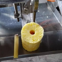 Machine complète Leadworld pour la transformation et la mise en conserve des ananas