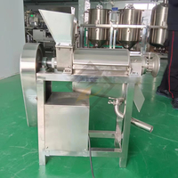 Extracteur d'oignon de gingembre à haute productivité extrait de passion de raisin de pêche presse-agrumes machine à jus d'orange industrielle
