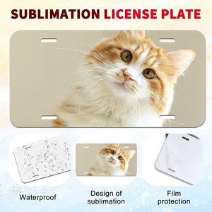 Plaques d'immatriculation 3D durables en aluminium et plastique au design personnalisé et résistantes aux UV pour les étiquettes de moteur de bébé de voiture avec des tailles personnalisées - Product Image 4