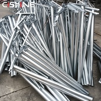 Poste de Luz de Acero Galvanizado en Caliente Cishine para Exteriores, de 8m y 9m, con Brazo Curvo Simple o Doble, Precio de Poste para Alumbrado Público en Carreteras y Autopistas