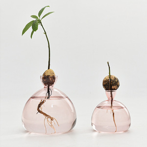 Decoración de flores de escritorio minimalista moderna, jarrón hidropónico creativo para sala de estar, jarrón de <span class=keywords><strong>aguacate</strong></span> para el hogar - Product Image 2