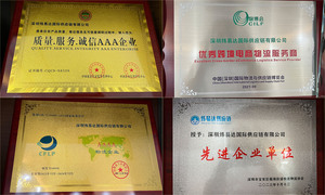 Agente di Spedizione Professionale dalla Cina con Consegna Porta a Porta, Trasporto Aereo e Marittimo, Servizi DDP/DDU per la Germania - Product Image 6