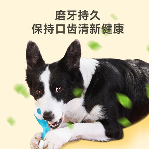 Eetoyys Y Shaped Branch Bone Pu Nylon Material Dental Cleaning Dog Chew Toy - Product Image 4