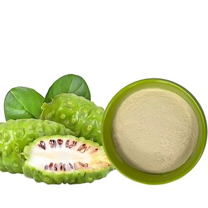 Natural <strong>Noni</strong> Fruit <strong>Extract</strong> Powder 99 Percent High Purity Food Grade Drum Packing - Product Image 1