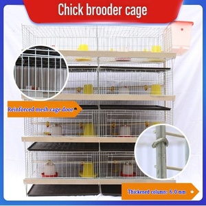 Cage d'élevage de type H à installation facile, gain de place, 1 ensemble, <span class=keywords><strong>prix</strong></span> bas pour petite ferme avicole – Vente directe usine - Product Image 1