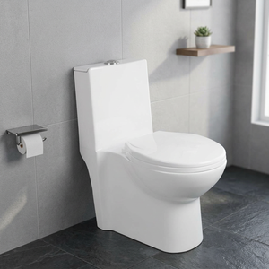 WC monobloc en céramique Vistaar à chasse d'eau par siphon à jet, à poser au sol, pour lavabo - Product Image 2