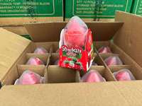 Crème glacée HALAL Liklak aux saveurs de mangue, avocat, fraise, raisin, pêche, en forme de fruits, aliments exotiques, bâtonnets glacés au chocolat, crème glacée aux fruits