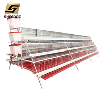 Système de pondeuses de volaille de type A Cage de poulet de chair nouvelle condition pour la ponte des œufs pour les poulets et les fermes